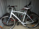 Giant mountain bike