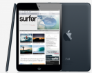 Stolen iPad Mini Wi-Fi 16GB
